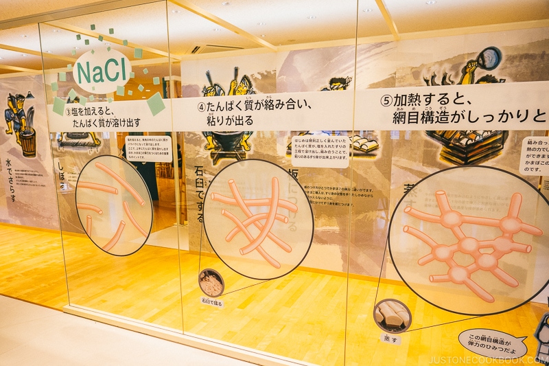 exhibits on the science of kamaboko - Make Fish Cakes at Suzuhiro Kamaboko Museum | www.justonecookbook.com