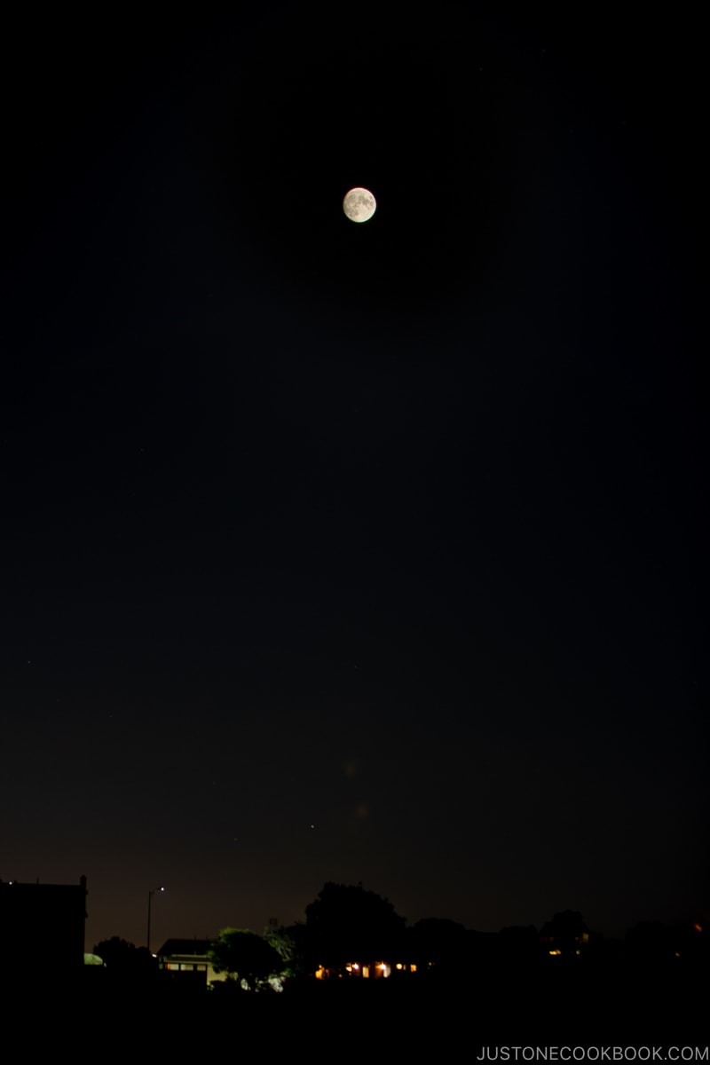 Viewing almost full moon in the night sky.