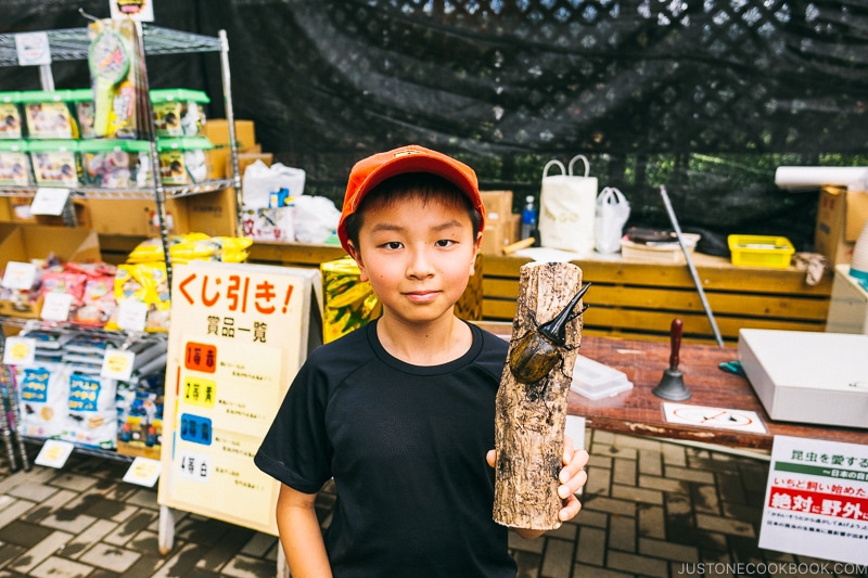 boy holding a Hercules beetle perched on a short branch in Hakone Gora Park - Hakone Gora Travel Guide | www.justonecookbook.com 