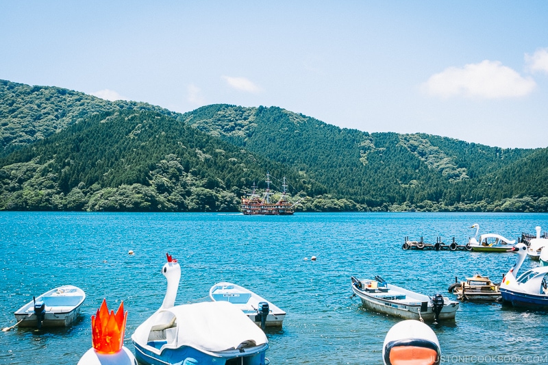 pedal boat and rowboat in Lake Ashi - Hakone Lake Ashi Guide | www.justonecookbook.com