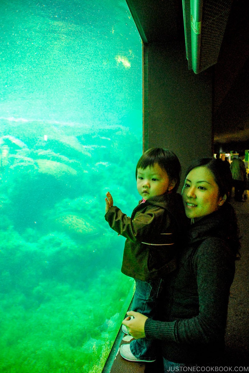 woman and girl at Hakone-en Aquarium - Hakone Lake Ashi Guide | www.justonecookbook.com