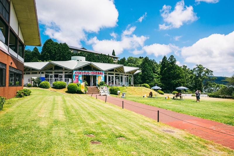 petting zoo - Hakone Lake Ashi Guide | www.justonecookbook.com