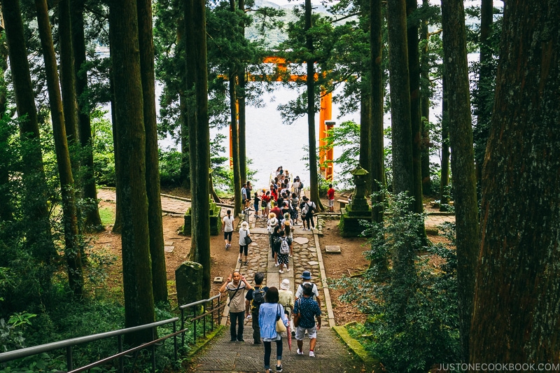 visitors lined up at the torii gate at Hakone Shrine - Hakone Lake Ashi Guide | www.justonecookbook.com