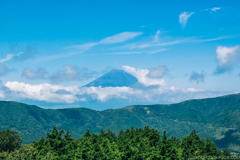 view of Mt. Fuji from the gondola - Hakone Ropeway and Owakudani Hell Valley | www.justonecookbook.com