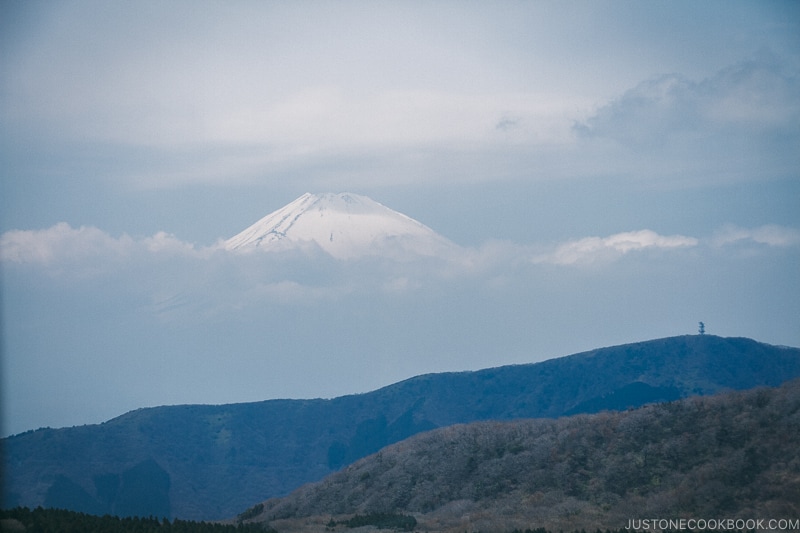 snow-capped Mt. Fuji from gondola - Hakone Ropeway and Owakudani Hell Valley | www.justonecookbook.com