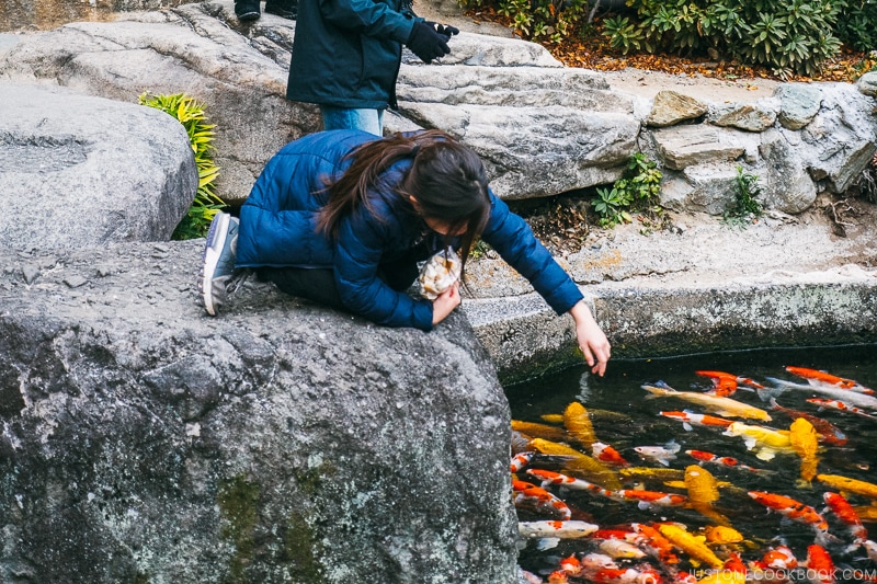 Children feeding koi fish at Hotel Sekifu - Celebrate New Year at Isawa Onsen in Yamanishi | www.justonecookbook.com 