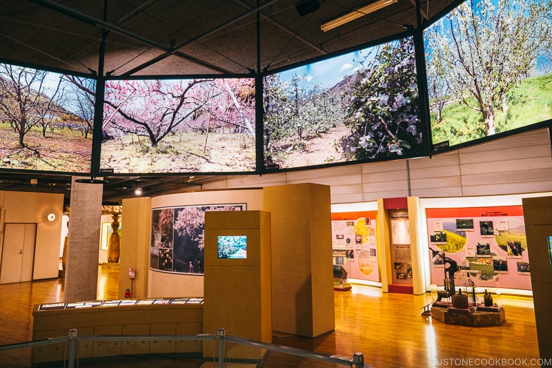 fruit museum at at Fuefukigawa Fruit Park - Yamanashi Fruit Picking and Wine Tasting | www.justonecookbook.com 