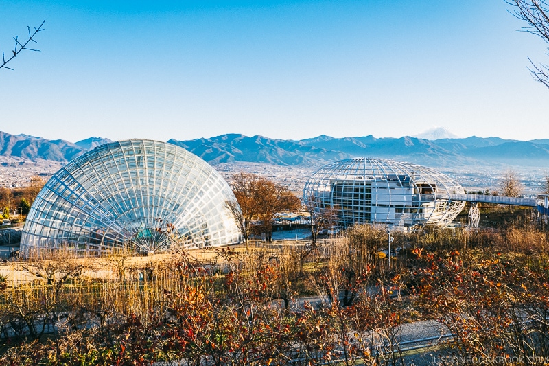 the domes at Fuefukigawa Fruit Park - Yamanashi Fruit Picking and Wine Tasting | www.justonecookbook.com 