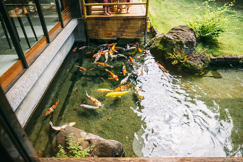 koi pond at Kutsuroginotei Kunitachi - Yamanashi Fruit Picking and Wine Tasting | www.justonecookbook.com 