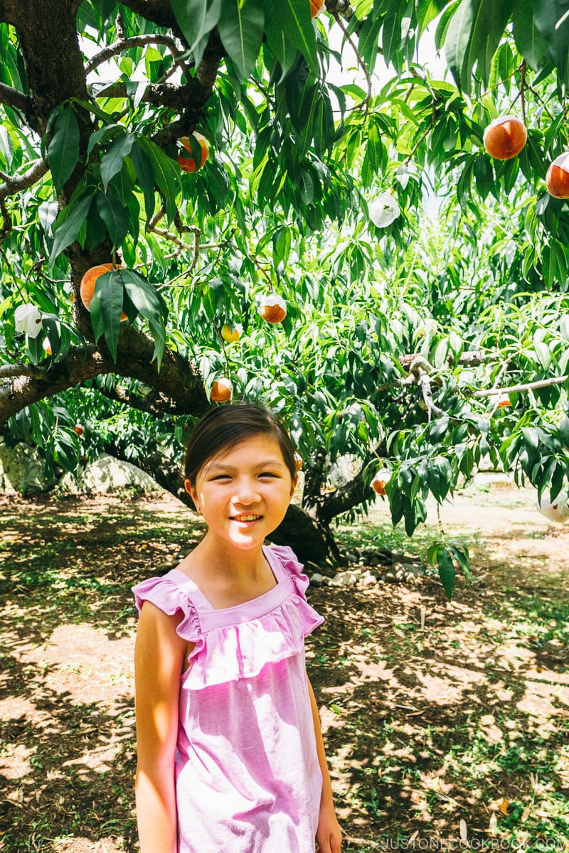 girl in front of peach trees - - Yamanashi Fruit Picking and Wine Tasting | www.justonecookbook.com 
