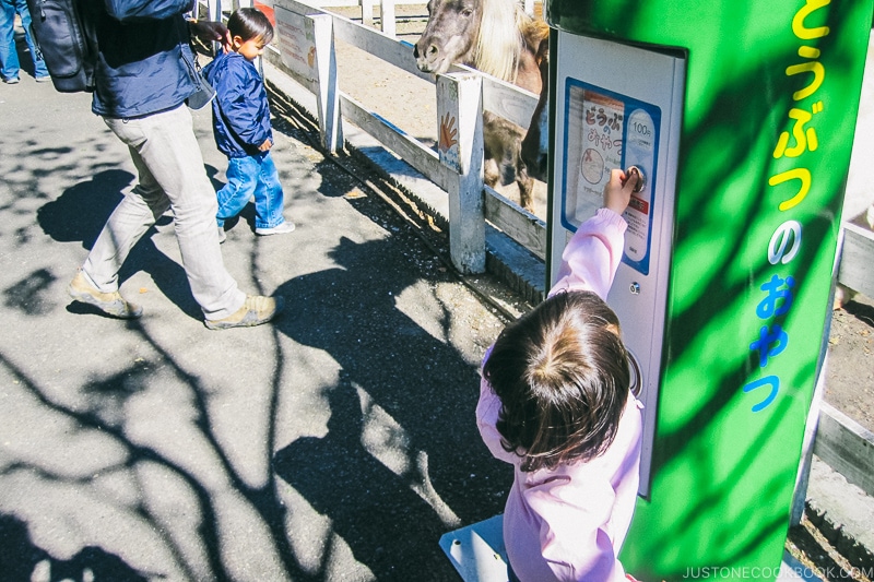 child buying animal feed from dispenser - Things to do around Lake Kawaguchi | www.justonecookbook.com