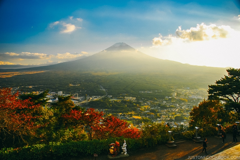 Mt. Fuji from Kawaguchiko Tenjozan Park - Things to do around Lake Kawaguchi | www.justonecookbook.com