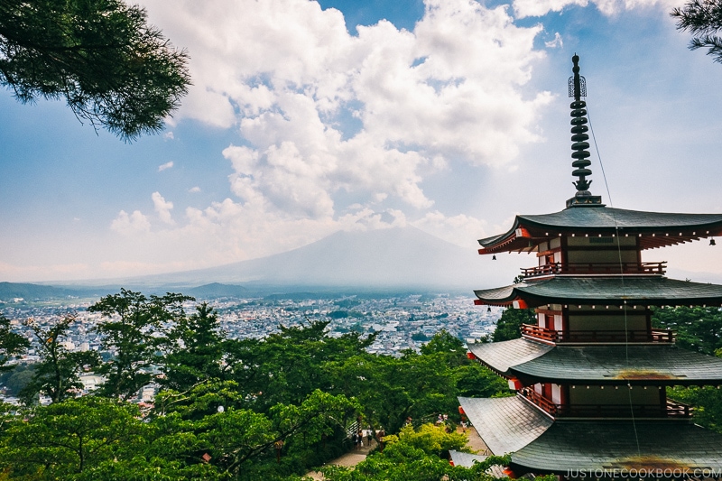 Mt. Fuji with Chureito Pagoda - Things to do around Lake Kawaguchi | www.justonecookbook.com 