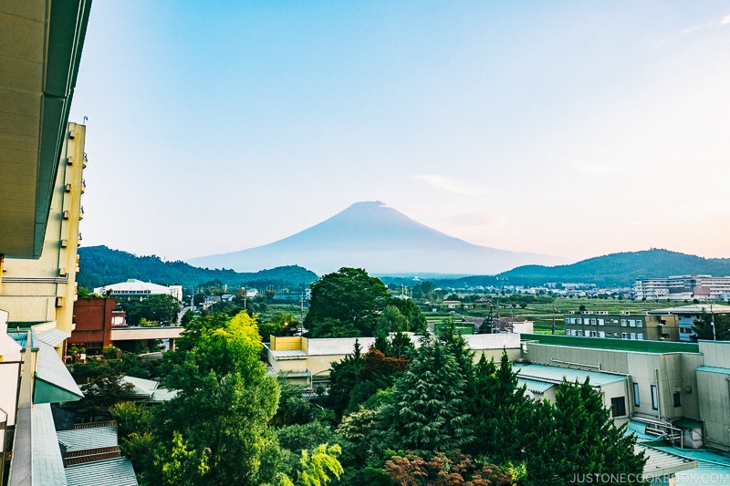 A view of Mt. Fuji