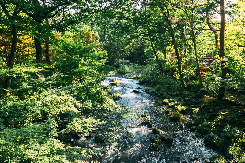 river running through the garden at Hotel Kaneyamaen - Things to do around Lake Kawaguchi | www.justonecookbook.com