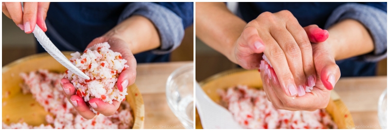 Plum Rice Ball 6