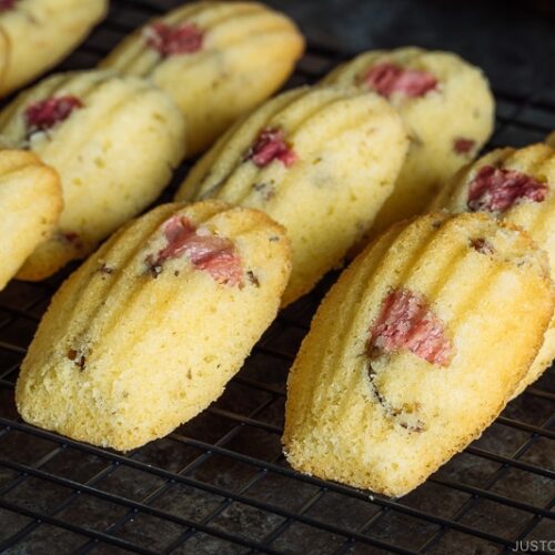 Cherry Blossom Madeleines 桜マドレーヌ • Just One Cookbook