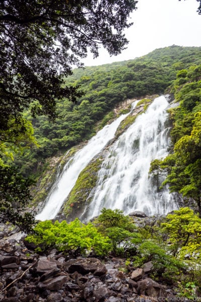 Ohko Waterfall - Yakushima Travel Guide | www.justonecookbook.com