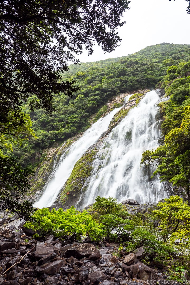 Ohko Waterfall - Yakushima Travel Guide | www.justonecookbook.com 