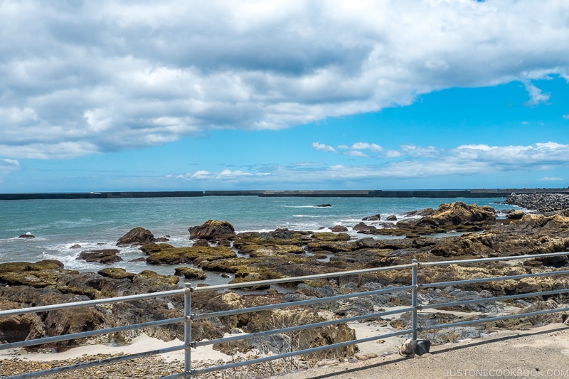 view of the ocean from Yakudon Noodle House - Yakushima Travel Guide | www.justonecookbook.com