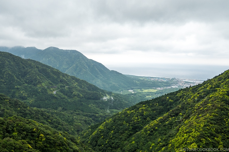 view of Yakushima and coastline from top of the hill - Yakushima Travel Guide | www.justonecookbook.com
