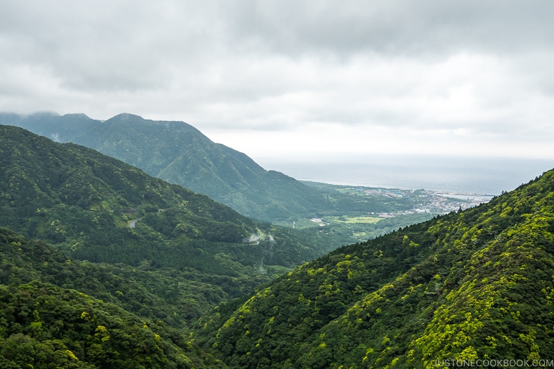 view of Yakushima and coastline from top of the hill - Yakushima Travel Guide | www.justonecookbook.com 