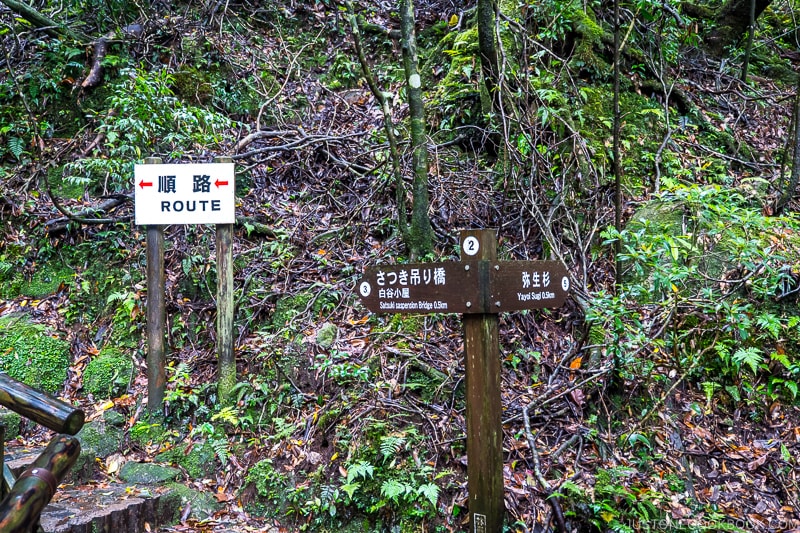 trail signs at Shiratani Unsui Gorge - Yakushima Travel Guide | www.justonecookbook.com