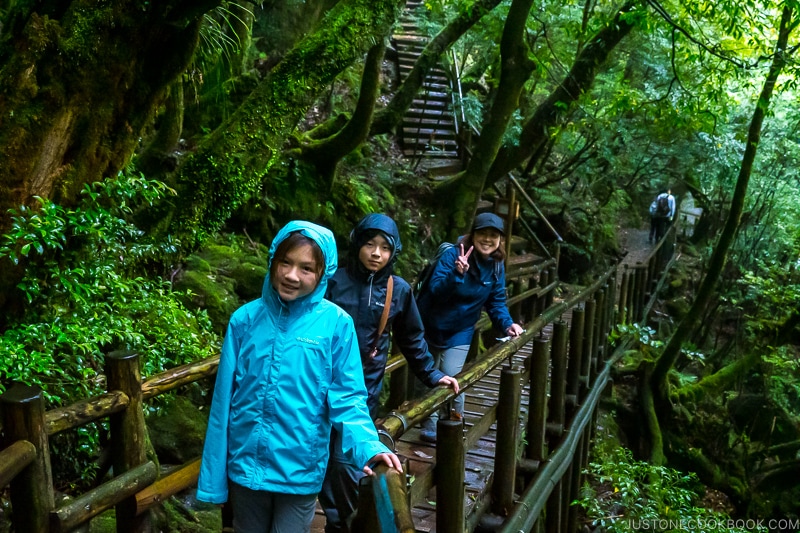 3 people on trail at Shiratani Unsui Gorge - Yakushima Travel Guide | www.justonecookbook.com