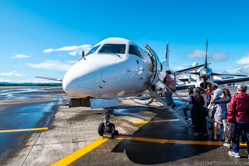 passengers boarding plane for Yakushima - Yakushima Travel Guide | www.justonecookbook.com