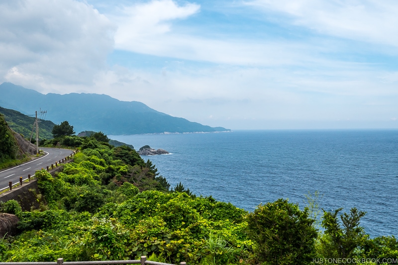 view of Yakushima coastline with mountain and ocean - Yakushima Travel Guide | www.justonecookbook.com 