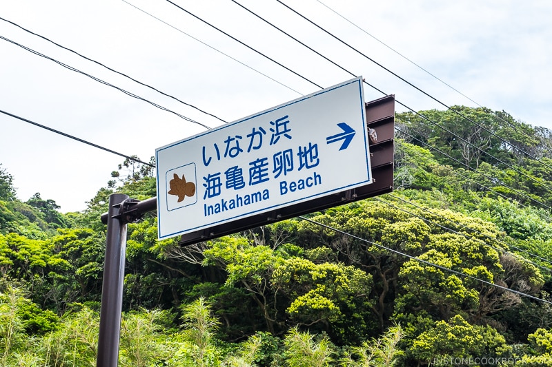 sign for Inakahama Beach - Yakushima Travel Guide | www.justonecookbook.com 