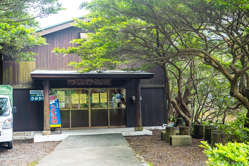 Yakushima Sea Turtle Hall near Inakahama Beach - Yakushima Travel Guide | www.justonecookbook.com