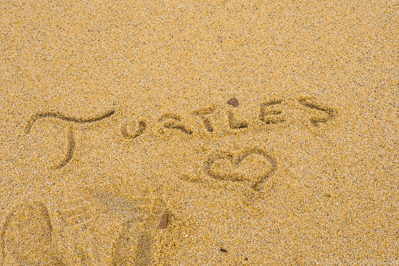turtles with a heart written in the sand at Inakahama Beach - Yakushima Travel Guide | www.justonecookbook.com 
