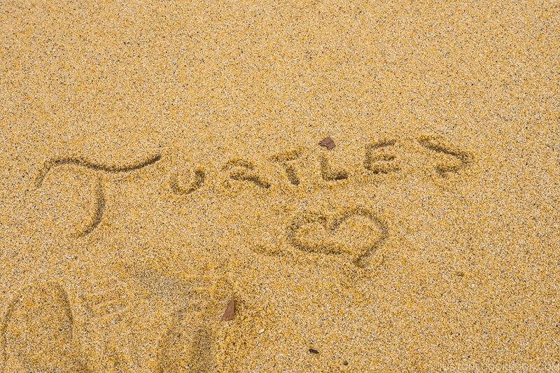 turtles with a heart written in the sand at Inakahama Beach - Yakushima Travel Guide | www.justonecookbook.com