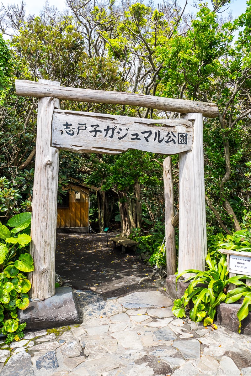 entrance to Shitoko Gajumaru Banyan Park - Yakushima Travel Guide | www.justonecookbook.com