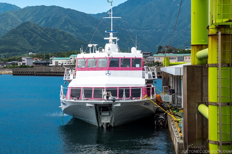 Hydrofoil boat docked at rocket terminal - Yakushima Travel Guide | www.justonecookbook.com