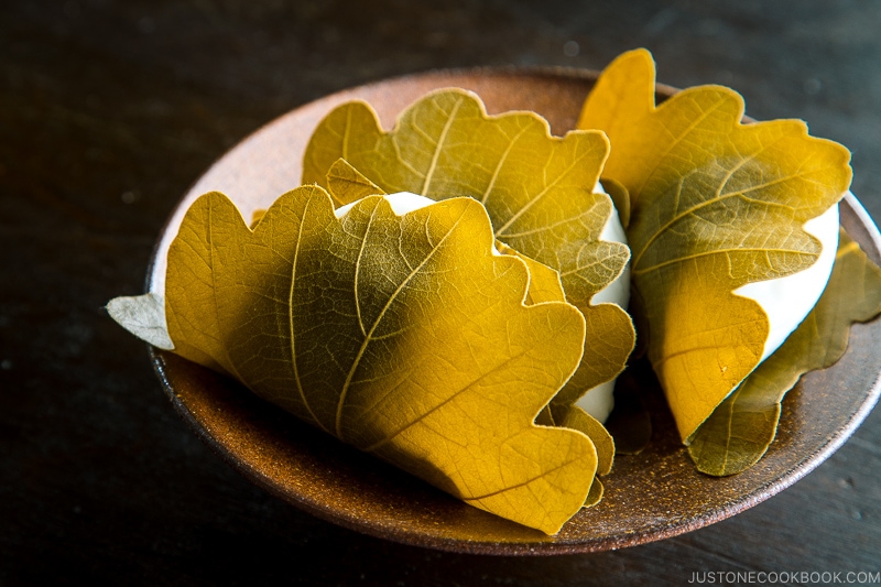 A bizenware plate containing Kashiwa Mochi.