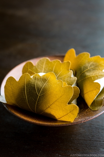 A bizenware plate containing Kashiwa Mochi.