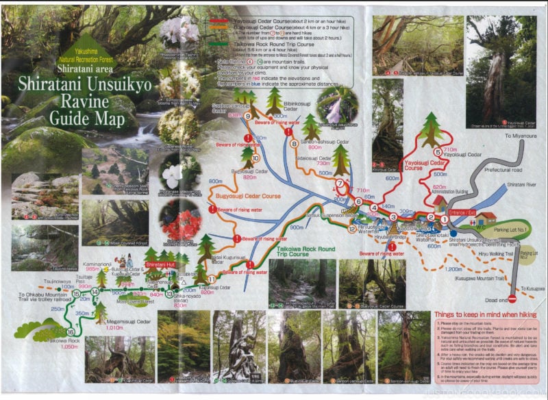 Trail Map of Shiratani Unsui Gorge - Yakushima Travel Guide | www.justonecookbook.com 