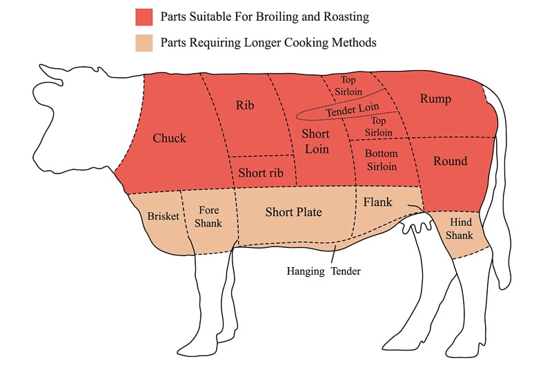 parts of a cow