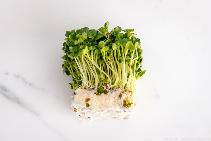 Kaiware Daikon Sprouts | Easy Japanese Recipes at JustOneCookbook.com