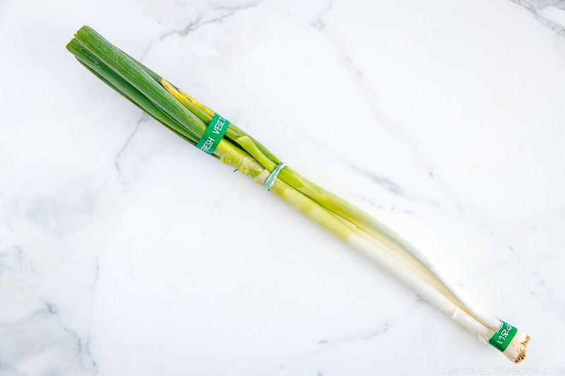 Negi (Long Green Onion) | Easy Japanese Recipes at JustOneCookbook.com