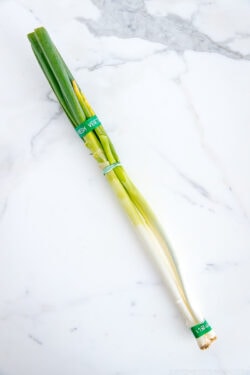 Negi (Long Green Onion) | Easy Japanese Recipes at JustOneCookbook.com