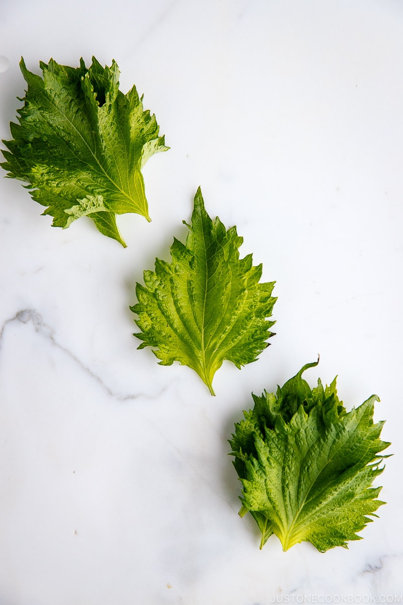 What Is Shiso And How Is It Used Just One Cookbook