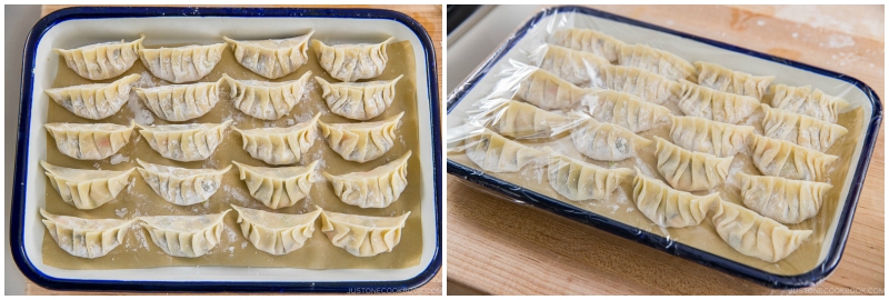 Vegetarian Gyoza 25