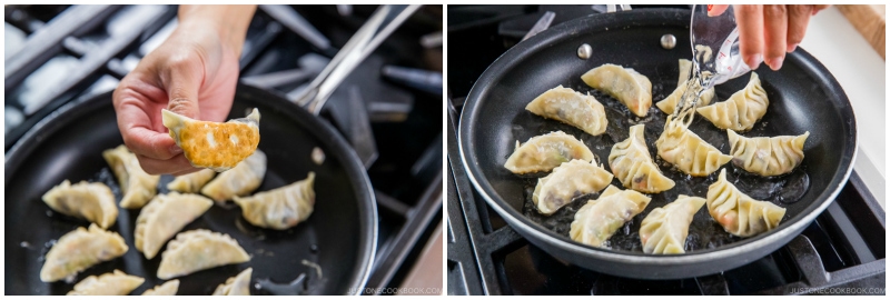 Vegetarian Gyoza 27