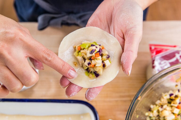 Vegetable Gyoza (Vegan/Vegetarian) 野菜の餃子 • Just One Cookbook