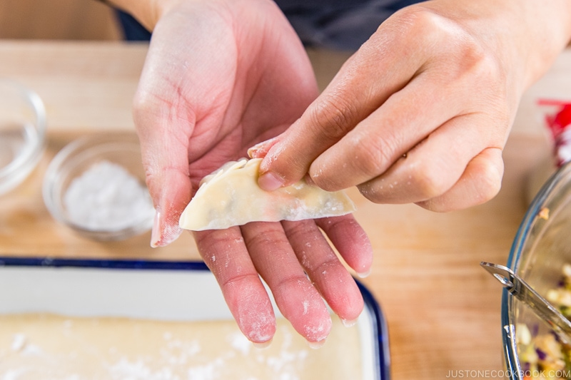 How to Fold Gyoza 6