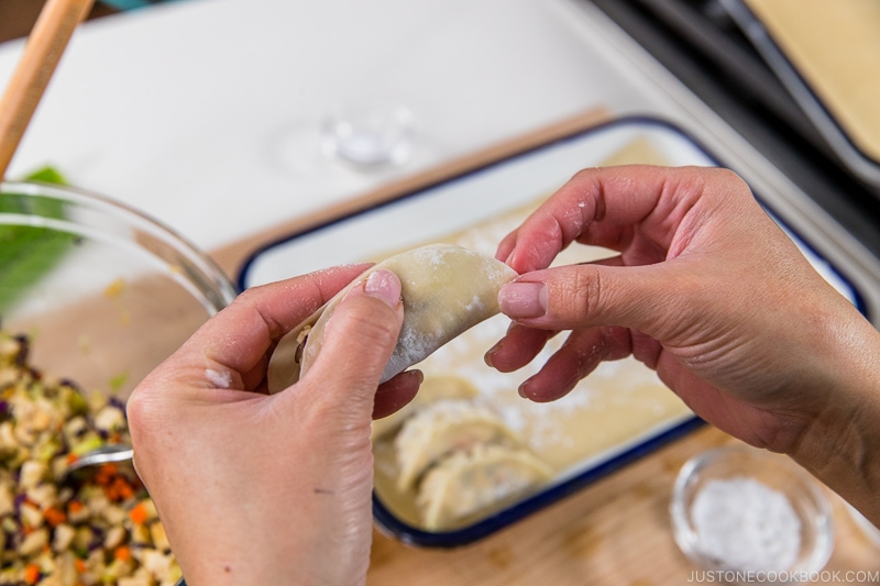 How to Fold Gyoza 1