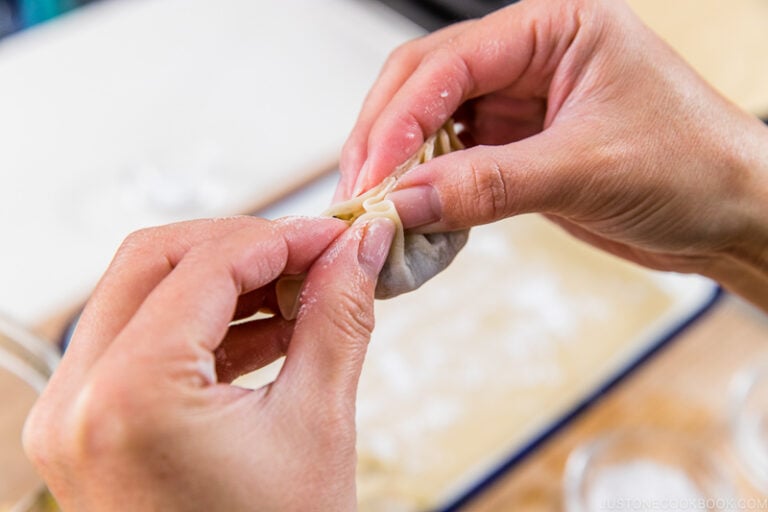 Vegetable Gyoza (Vegan/Vegetarian) 野菜の餃子 • Just One Cookbook